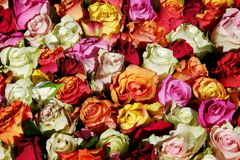 Floral Fantasy Designs